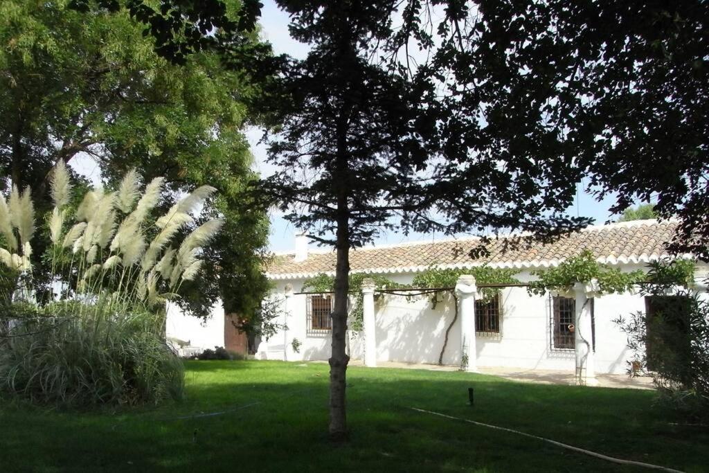 Casa El Carmen Villa ซิวดัดเรอัล ภายนอก รูปภาพ