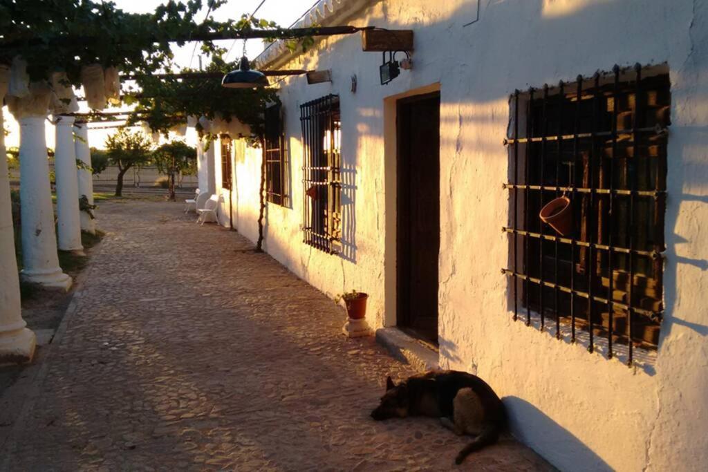 Casa El Carmen Villa ซิวดัดเรอัล ภายนอก รูปภาพ