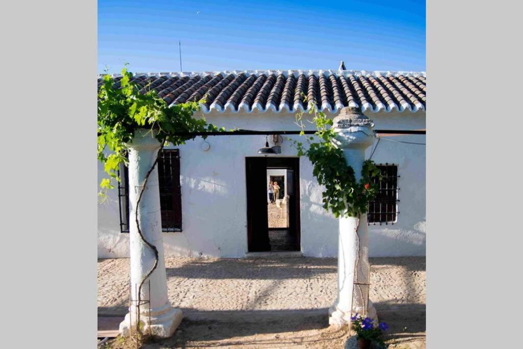 Casa El Carmen Villa ซิวดัดเรอัล ภายนอก รูปภาพ