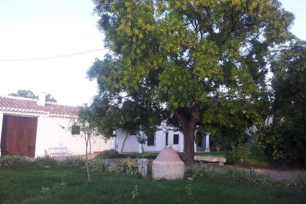 Casa El Carmen Villa ซิวดัดเรอัล ภายนอก รูปภาพ